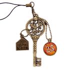 Ключ сувенирный "25 Октября", серия 365 дней - Фото 1
