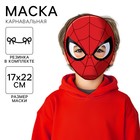 Маска карнавальная, 17.2×22 см - Фото 1