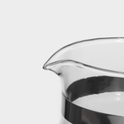 Чайник стеклянный заварочный Magistro «Мантана», 750 мл, с пластиковым ситом - Фото 3