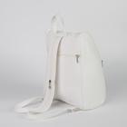 Рюкзак молодёжный, отдел на молнии, наружный карман, цвет белый - Фото 2