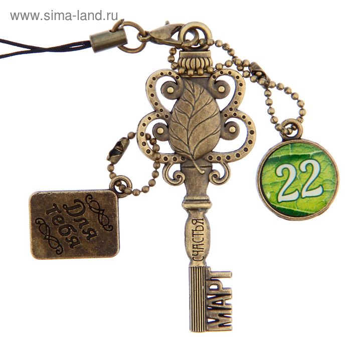 Ключ сувенирный "22 Марта", серия 365 дней - Фото 1