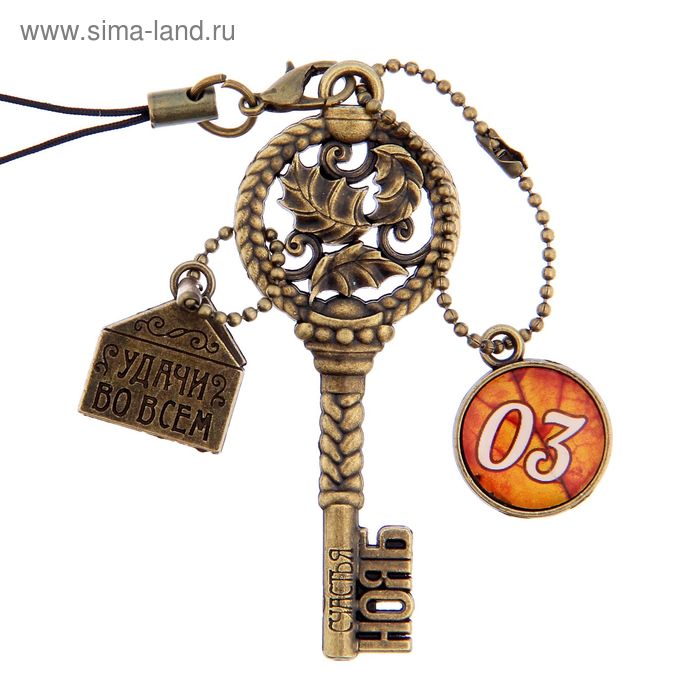 Ключ сувенирный "3 Ноября", серия 365 дней - Фото 1