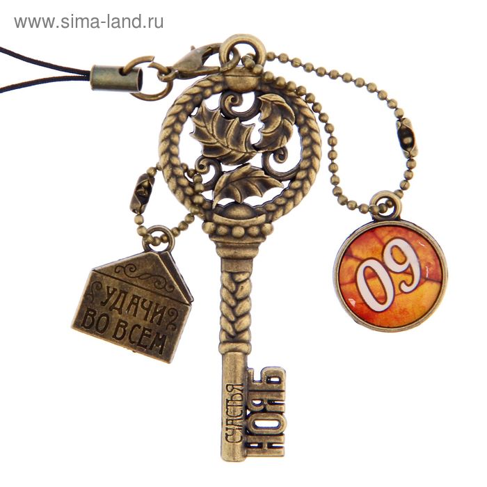 Ключ сувенирный "9 Ноября", серия 365 дней - Фото 1