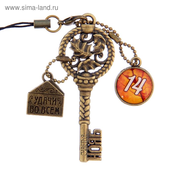 Ключ сувенирный "14 Ноября", серия 365 дней - Фото 1