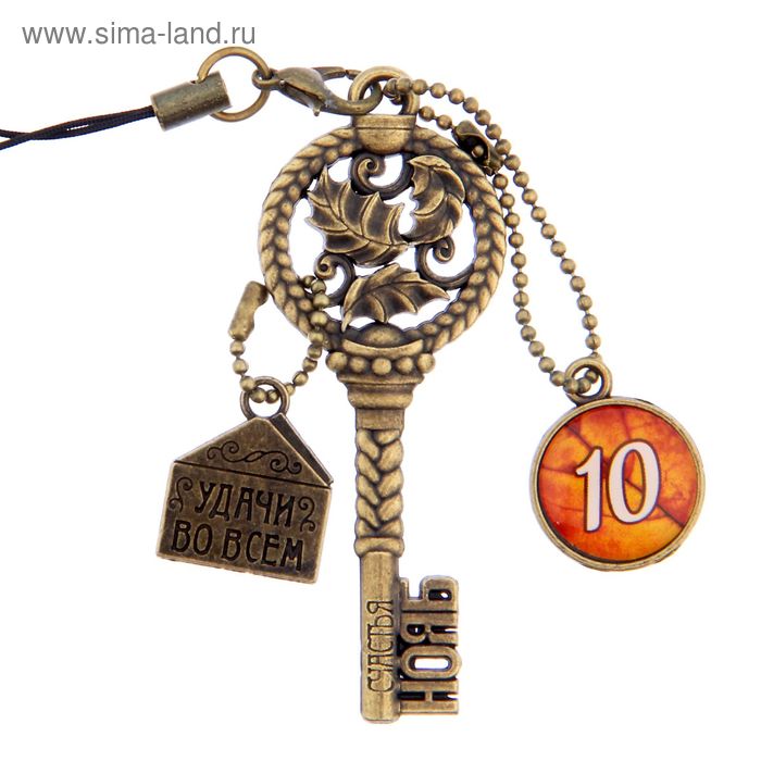 Ключ сувенирный "10 Ноября", серия 365 дней - Фото 1