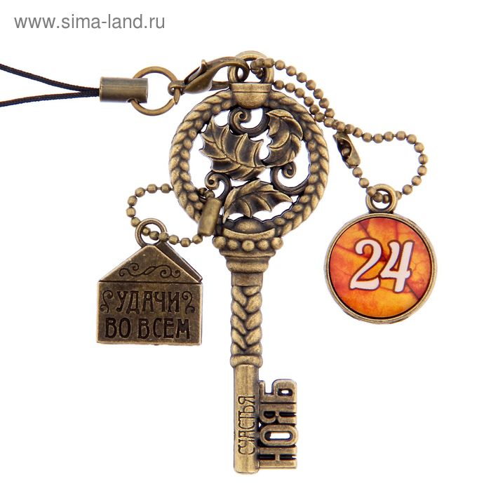 Ключ сувенирный "24 Ноября", серия 365 дней - Фото 1