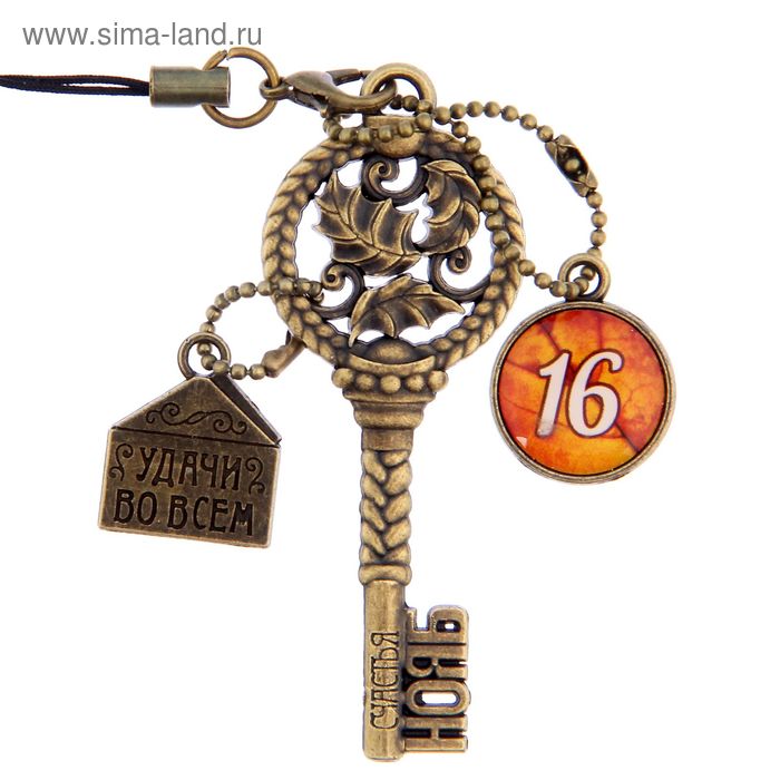 Ключ сувенирный "16 Ноября", серия 365 дней - Фото 1