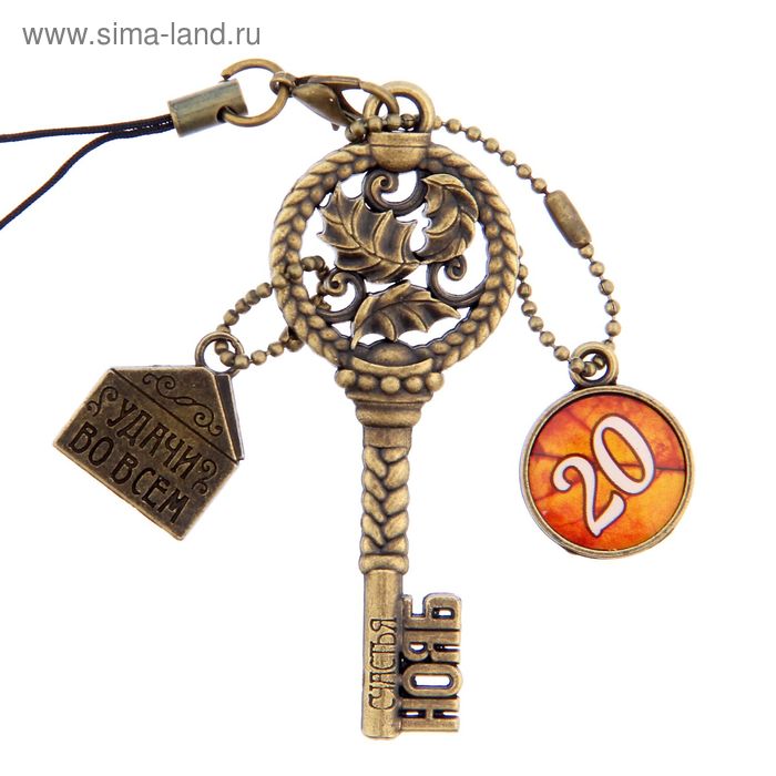 Ключ сувенирный "20 Ноября", серия 365 дней - Фото 1