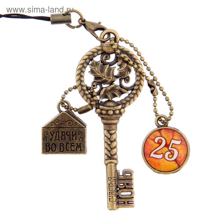 Ключ сувенирный "25 Ноября", серия 365 дней - Фото 1