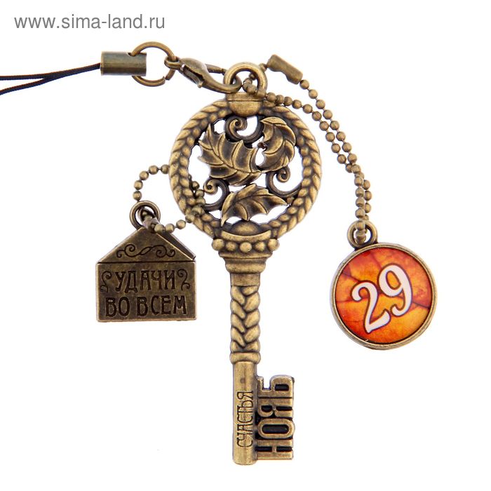 Ключ сувенирный "29 Ноября", серия 365 дней - Фото 1