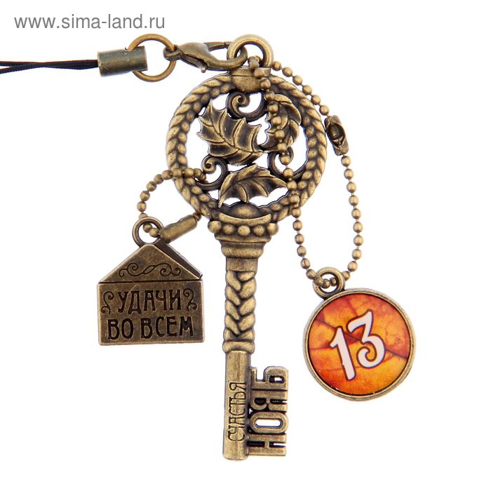 Ключ сувенирный "13 Ноября", серия 365 дней - Фото 1