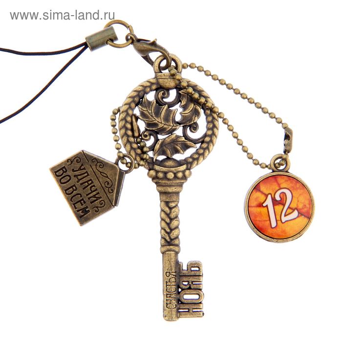 Ключ сувенирный "12 Ноября", серия 365 дней - Фото 1