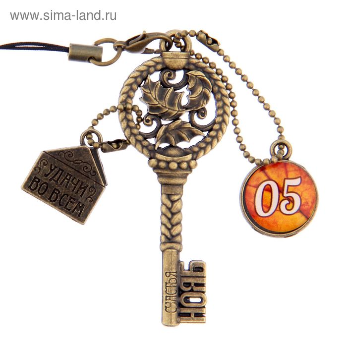 Ключ сувенирный "5 Ноября", серия 365 дней - Фото 1