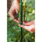 Подвязки для растений, длина 23 см, набор 30 шт., Greengo - фото 8645199