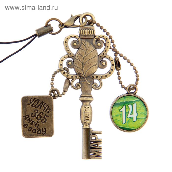 Ключ сувенирный "14 Марта", серия 365 дней - Фото 1