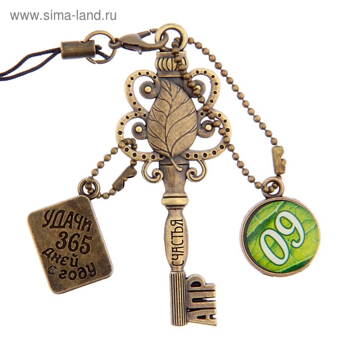 Ключ сувенирный "9 Апреля", серия 365 дней - Фото 1