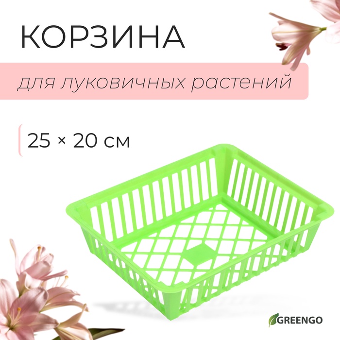 Корзина для луковичных, квадратная, 25×20 см, зелёная, Greengo - Фото 1