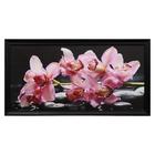 Картина "Розовые орхидеи" 57х107см - Фото 1
