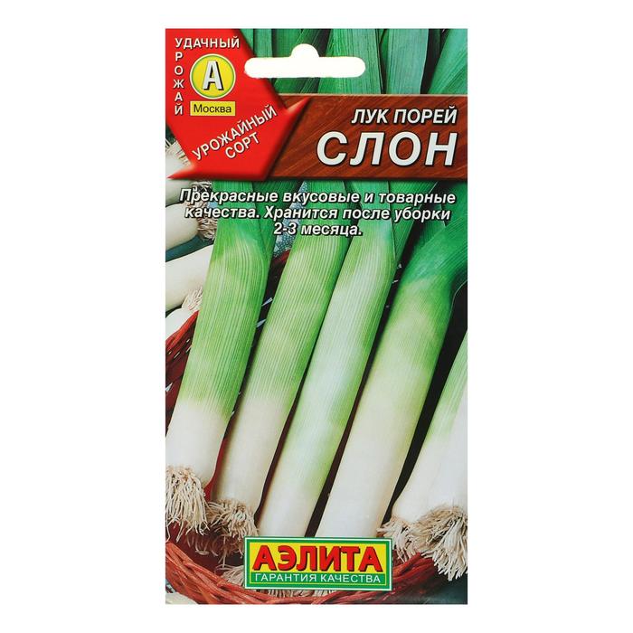 Семена Лук порей «Слон», 0.5 г - Фото 1