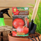 Семена Тыква крупноплодная "Сладкий пирог", 1 г - Фото 5