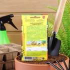 Семена Тыква крупноплодная "Сладкий пирог", 1 г - Фото 6