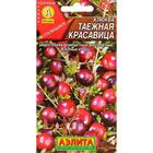 Семена Клюква крупноплодная "Таежная красавица", 0,02 г - Фото 1