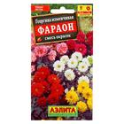 Семена цветов Георгина "Фараон", смесь окрасок, О, 0,3 г - Фото 1