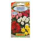 Семена цветов Георгина "Фараон", смесь окрасок, О, 0,3 г - Фото 4