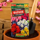 Семена цветов Георгина "Фараон", смесь окрасок, О, 0,3 г - Фото 6