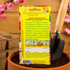 Семена цветов Годеция "Синдерелла" крупноцветковая махровая, смесь окрасок, О, 0,05 г - Фото 8