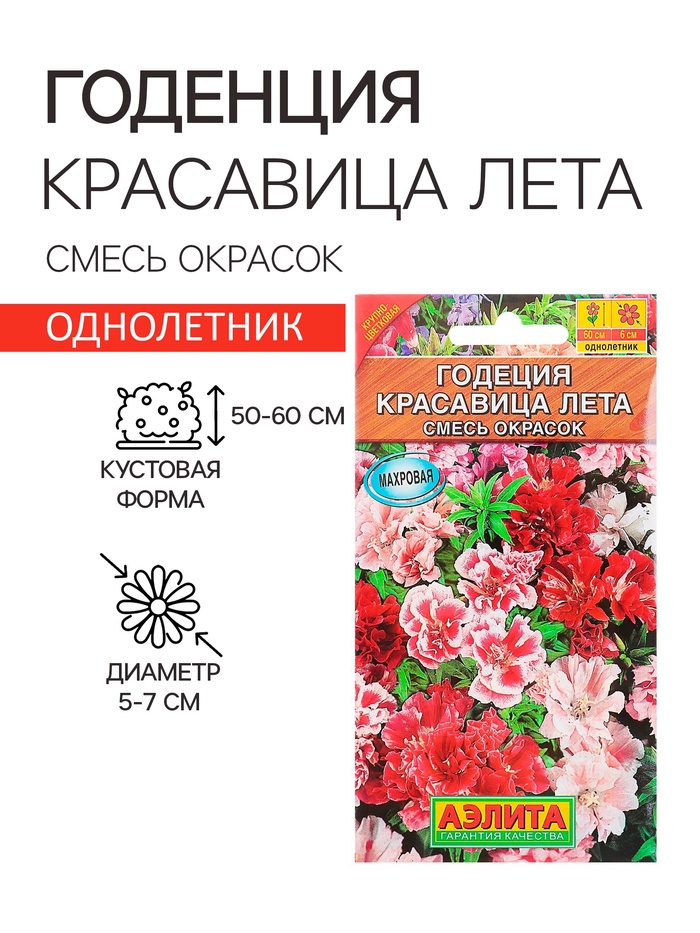 Семена цветов Годеция "Красавица лета" крупноцветковая, смесь окрасок, О, 0,05 г - Фото 1