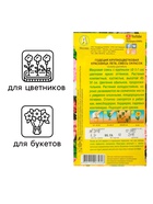 Семена цветов Годеция "Красавица лета" крупноцветковая, смесь окрасок, О, 0,05 г - Фото 3