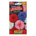 Семена цветов Василек "Брусничный джем" махровый, смесь окрасок, О, 0,3 г - Фото 3