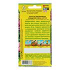 Семена цветов Капуста декоративная "Принцесса", смесь окрасок, О, 0,1 г - Фото 4