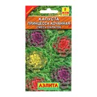 Семена цветов Капуста декоративная "Принцесса", смесь окрасок, О, 0,1 г - Фото 5