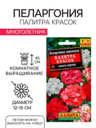 Семена комнатных цветов Пеларгония "Палитра красок", 4 шт. - Фото 3