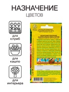 Семена комнатных цветов Пеларгония «Палитра красок», 4 шт., «АЭЛИТА» - Фото 3