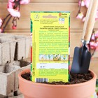 Семена комнатных цветов Пеларгония «Палитра красок», 4 шт., «АЭЛИТА» - Фото 5