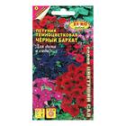 Семена цветов Петуния "Черный бархат", смесь окрасок, О, 0,04 г - Фото 1