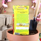 Семена цветов Шток-роза «Летний карнавал», 0.3 г - Фото 2