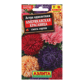 Семена цветов Астра 'Американская красавица', смесь окрасок, О, 0,2 г