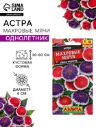 Семена цветов Астра «Махровые мячи» смесь сортов, однолетник, 0.1 г, «Аэлита» - Фото 1