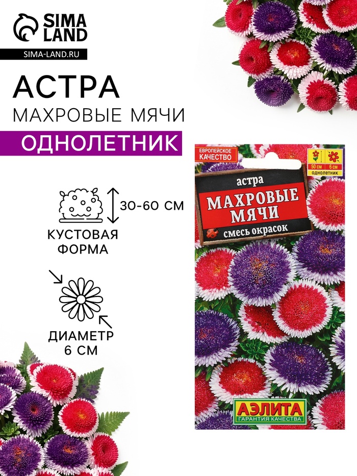 Семена цветов Астра «Махровые мячи» смесь сортов, однолетник, 0.1 г, «Аэлита» - Фото 1