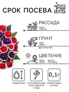 Семена цветов Астра «Махровые мячи» смесь сортов, однолетник, 0.1 г, «Аэлита» - Фото 2