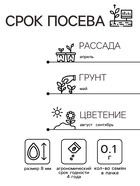 Семена цветов Астра «Махровые мячи» смесь сортов, однолетник, 0.1 г, «Аэлита» - Фото 2