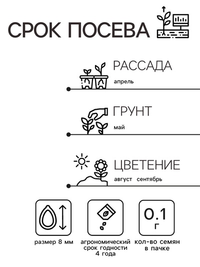 Семена цветов Астра «Махровые мячи» смесь сортов, однолетник, 0.1 г, «Аэлита»