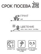 Семена цветов Календула «Балконная», смесь окрасок, 0.5 г, однолетник, «Аэлита» - Фото 2