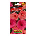 Семена цветов Лаватера "Шелк и кашемир", смесь окрасок, О, 0,3 г - Фото 1