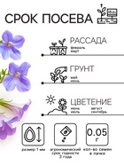 Семена цветов Лобелия "Сапфир" ампельная, О, 0,05 г - Фото 2