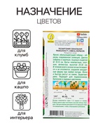 Семена комнатных цветов Пеларгония «Рафаэлла», «АЭЛИТА», F1, 5 шт. - Фото 2